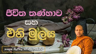 ජීවිත තණ්හාව සහ එහි මූලය‍  Hasalaka Seelawimala Thero [upl. by Juana688]