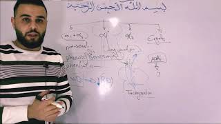 Pharmacology 1sympatholytic drug [upl. by Blakely]