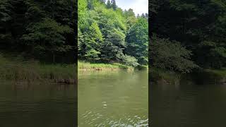 Szczawnica  Dunajec river poland nature meditationmusic relaxing relaxingmusic lullabymusic [upl. by Happy]