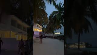 Crystal waters beach bar barbados 2023 [upl. by Brezin]