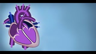 Fetal Circulation by L McCabe  OPENPediatrics [upl. by Yhcir]