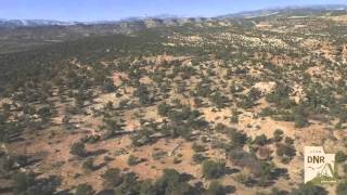 Escalante Petrified Forest State Park Trail  Aerial Views [upl. by Nedrob]