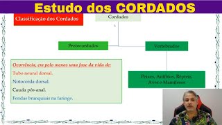 Introdução ao Estudo dos Cordados FILO CHORDATA Características dos cordados [upl. by Auqenahs]