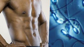 Handsome Men Have LOW Quality Sperm Study [upl. by Elletsirhc]