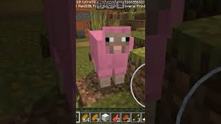 Pink sheep Pink sheep [upl. by Essenaj]