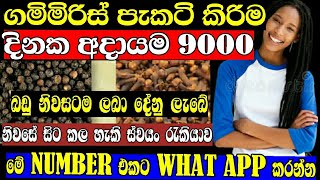 ගමිමිරිස් පැකටි කරමු  Swayan rakiya at home  swayan rakiya 2023  new swayan rakiya [upl. by Euf]