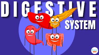 Digestive System Ingestion to Egestion Explained in Simple Words [upl. by Elidad]