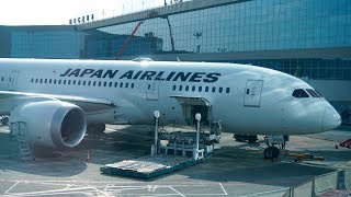 Japan Airlines Business Class Review  B7878 Dreamliner  Moscow to Tokyo [upl. by Amle]