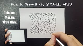 How to Draw Tobacco Mosaic Virus TMV [upl. by Harriman]