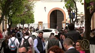 En Directo desde Sevilla Procesiones del Domingo de Ramos [upl. by Geiss]