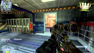 CoD BO2  Let´s Snip a bit 2  Die quotGamingKrankheit und wie man sie bezwingt  308 FFA [upl. by Nnaeus643]