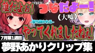 のあちゃんに撃ち抜かれるあかりん【夢野あかり7月1週目クリップ集ぶいすぽ切り抜き 】 [upl. by Aicirtak]