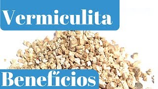 Conheça os Principais Benefícios da Vermiculita para as Plantas [upl. by Bechler]