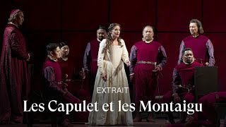 EXTRAIT I Capuleti e i Montecchi by Bellini [upl. by Anneiv]