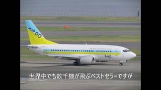 エチオピア航空、ライオンエア、、ボーイングB737MAX連続墜落から思うMD11との類似点 [upl. by Nerred]