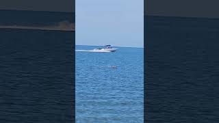 BOAT SPEEDING FUN IN THE GULF OF MEXICO VENICE FLORIDA [upl. by Leimad]