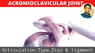 ACROMIOCLAVICULAR JOINTSHOULDER BIOMECHANICS Part 1 [upl. by Anael]