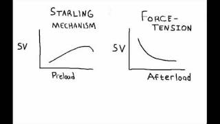 Frank Starling Mechanism [upl. by Morocco]