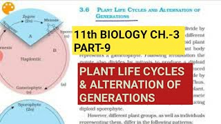 Class 11 BiologyCh3 Part9Plant life cycles amp Alternation of generationsStudy with Farru [upl. by Weissman]