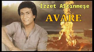 İzzet Altınmeşe  Avare  Mukesh  Awara Hoon [upl. by Aicineohp709]