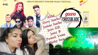 Gaana Crossblade Music Festival Jaipur [upl. by Nosyrb]