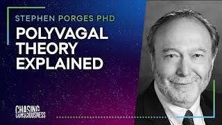 POLYVAGAL THEORY EXPLAINED Stephen Porges PHD 5 [upl. by Beryle]