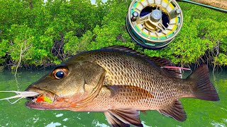 Saltwater Fly Fishing Leader Setup amp Tropical Species on Fly [upl. by Blanch]