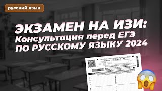 ЭКЗАМЕН НА ИЗИ Консультация перед ЕГЭ ПО РУССКОМУ ЯЗЫКУ 2024 [upl. by Iy]