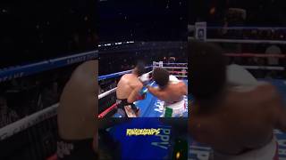 Tank Davis Powerhouse Uppercut KO [upl. by Hardwick379]