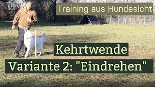 Hundetraining Kehrtwende Variante 2 [upl. by Alice]