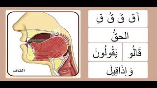 طريقة التدريب على نطق حرف القاف  الشيخ أيمن سويد [upl. by Bausch]