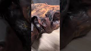 15m dia Ancient Kauri coffee table [upl. by Eliga125]