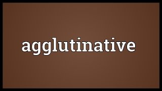 Agglutinative Meaning [upl. by Eugenle862]