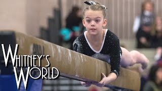 Whitney Bjerken on Beam  Level 8 Gymnastics  Texas Prime Meet [upl. by Ahtar]