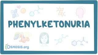 Phenylketonuria  causes symptoms diagnosis treatment pathology [upl. by Norm863]