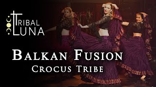 Crocus Tribe Balkan Fusion with skirts  Luna Tribal Event [upl. by Phaedra]