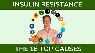 Insulin Resistance Top Causes amp Contributing Factors [upl. by Harol460]