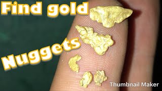 Metal Detecting  Finding gold nuggets [upl. by Missi]