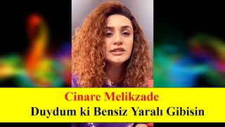 Cinare Melikzade  Duydum ki Bensiz Yaralı Gibisin Grup Roj cover [upl. by Niveg]