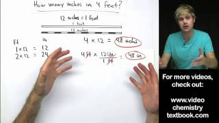 Understanding Conversion Factors [upl. by Joletta]