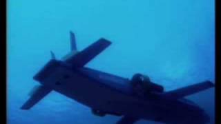 Graham Hawkes Fly the seas on a submarine with wings [upl. by Macey843]