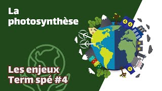 La photosynthèse  SVT  ENJEUX Term spé 4  Mathrix [upl. by Aniral]