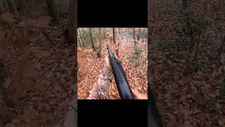 Shotgun Killshots Deer Hunting With Dogs Subscribe Now killaoutdoors killshot shotgun deer fy [upl. by Ahsille487]