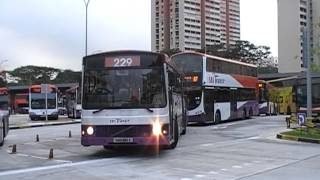 SBS buses in Bedok Singapore [upl. by Enytnoel]