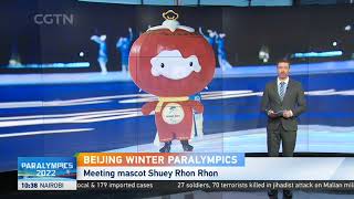 Meeting Shuey Rhon Rhon  mascot of Beijing 2022 Winter Paralympics  北京冬残奥会吉祥物雪容融 创作团队 吉林艺术学院 [upl. by Norabel45]