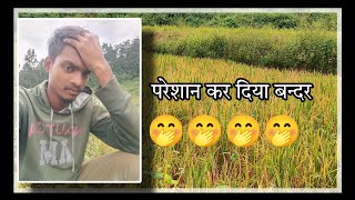 Albinus vlogs परेशान कर दिया बन्दर ने 🤭🤭🤭🤭🤭🤭 [upl. by Ennayram]