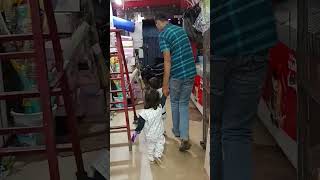 Madina or papa ke piche pad gaya elephant😯 funny cutubaby 🥰🥰 funniestvideo [upl. by Atews]