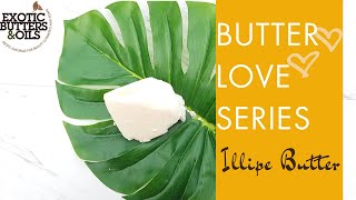 Illipe Butter Benefits Butter Love [upl. by Fadiman]