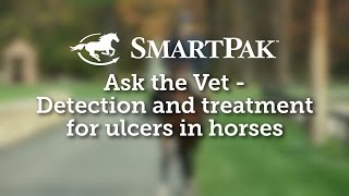 Ask the Vet  Detection and treatment for ulcers in horses [upl. by Eladnwahs]