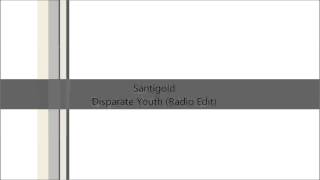 Santigold  Disparate Youth Radio Edit [upl. by Dieter371]